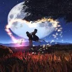 Meet your Posher, Faye